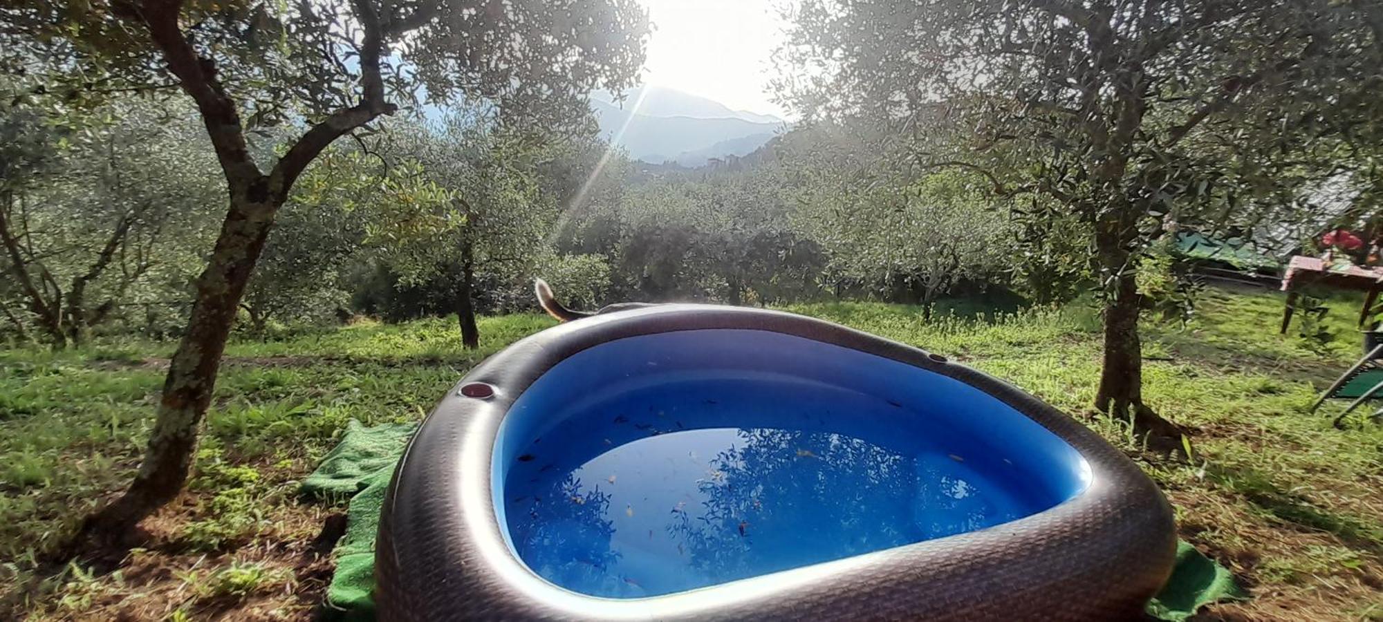 La Fatina Lodge Barga Exterior photo